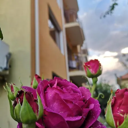 Πανσιόν 
