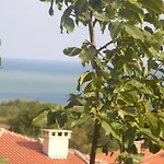 Guest house 